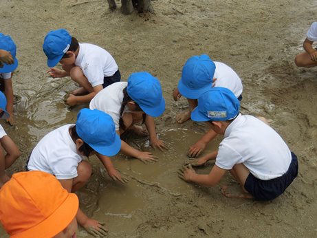 泥んこ幼稚園♬:画像２