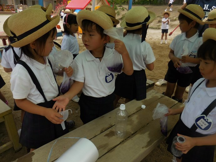 菖蒲の花で色水あそび～♬