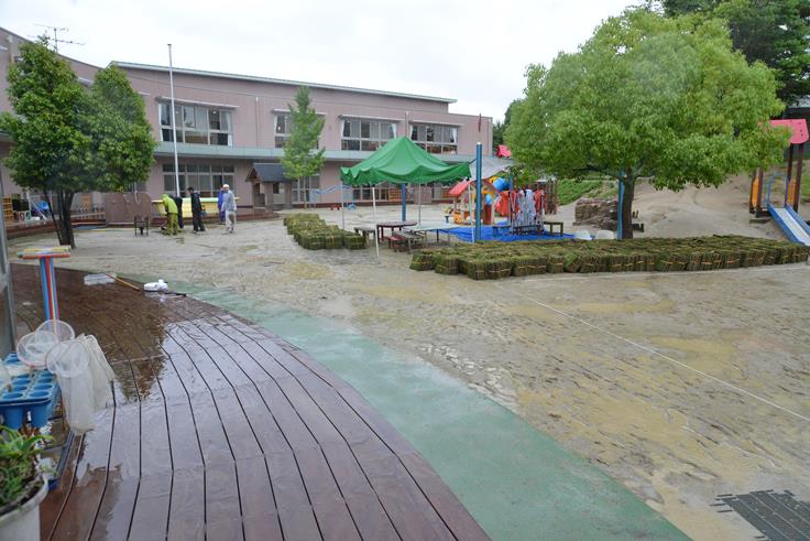 明日は幼稚園に芝生を貼ります！