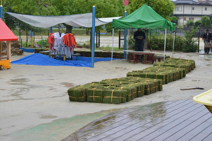 明日は幼稚園に芝生を貼ります！:画像３