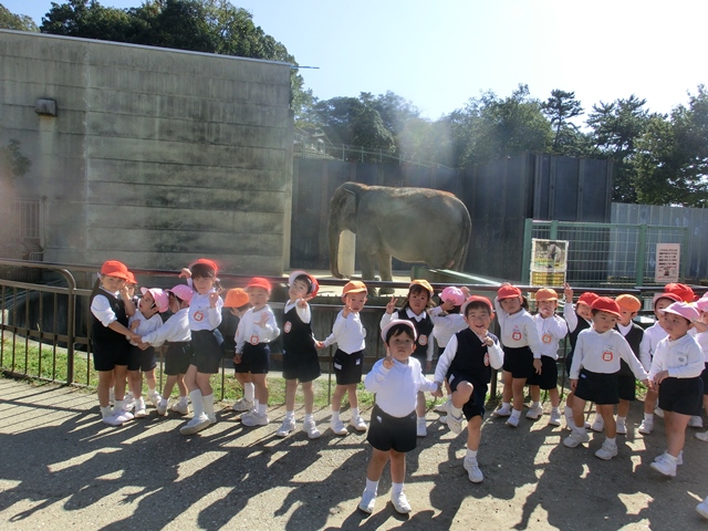 園外保育　～年少組と年中組で手をつないで東公園に行きました～