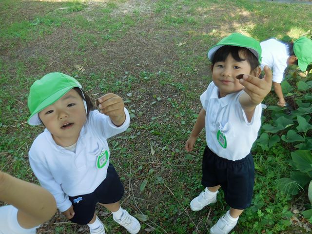 たんぽぽ組さんがジュース屋さんを開きました