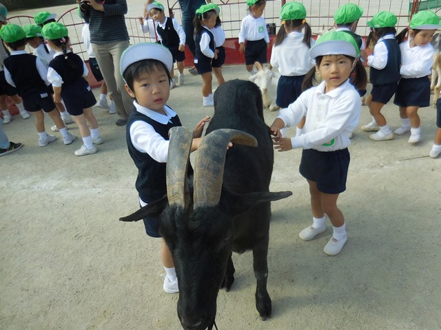 いちご動物園、たのしかったね！