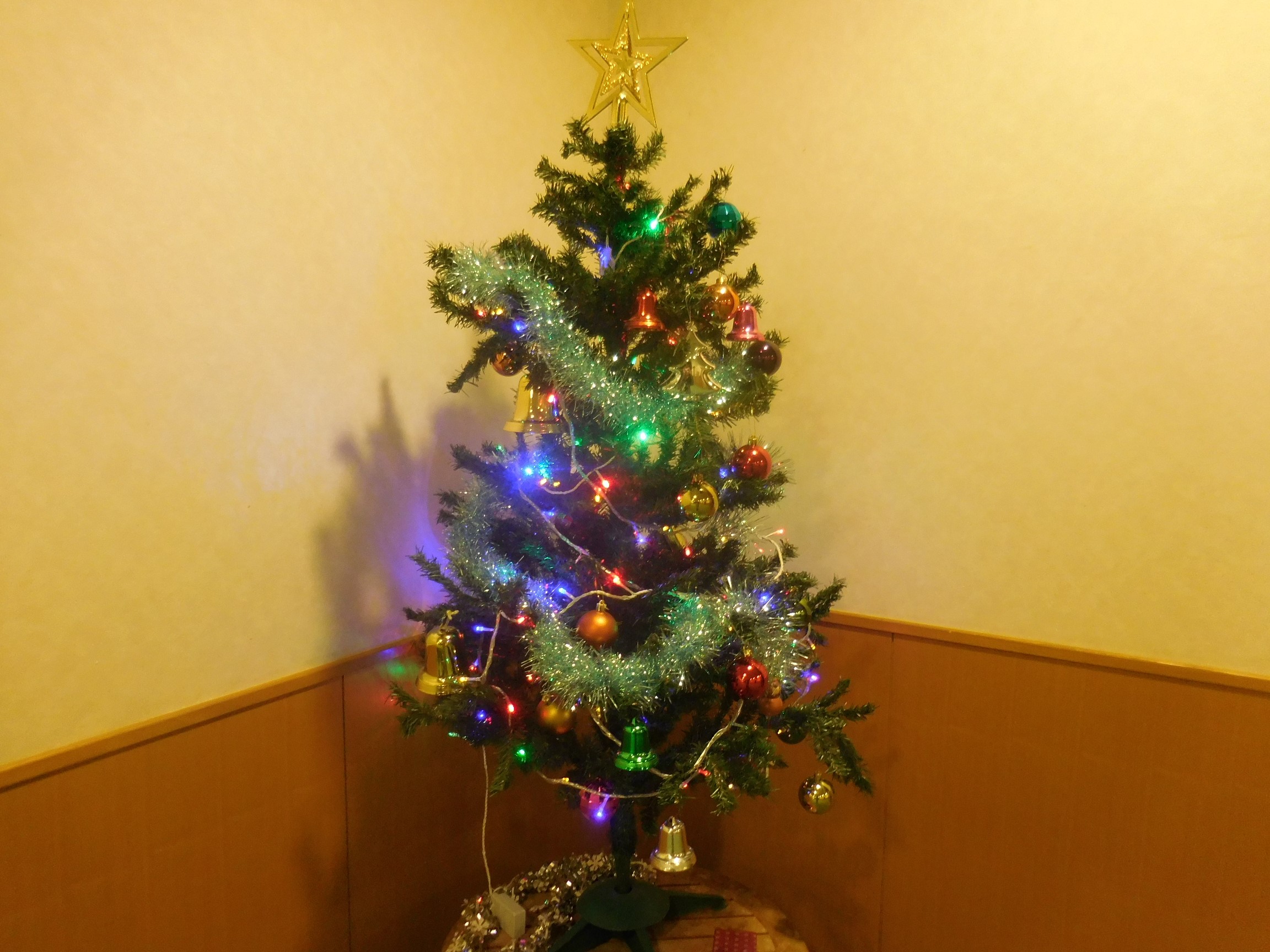 さわらび広場☆クリスマス会:画像４