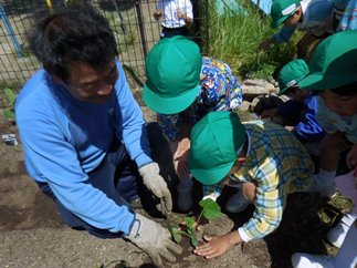 野菜の苗を植えたよ！