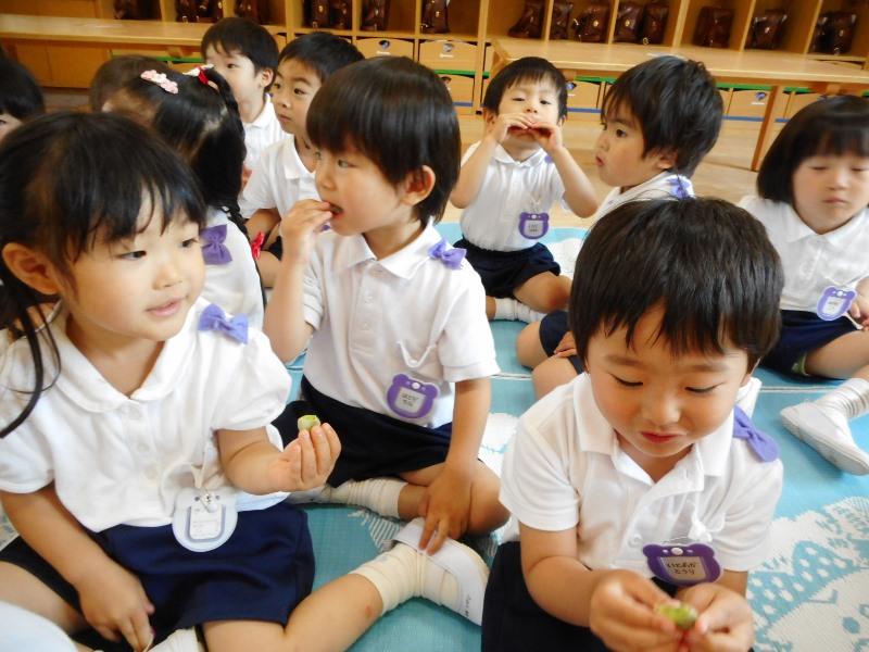 そら豆おいしかったよ♪