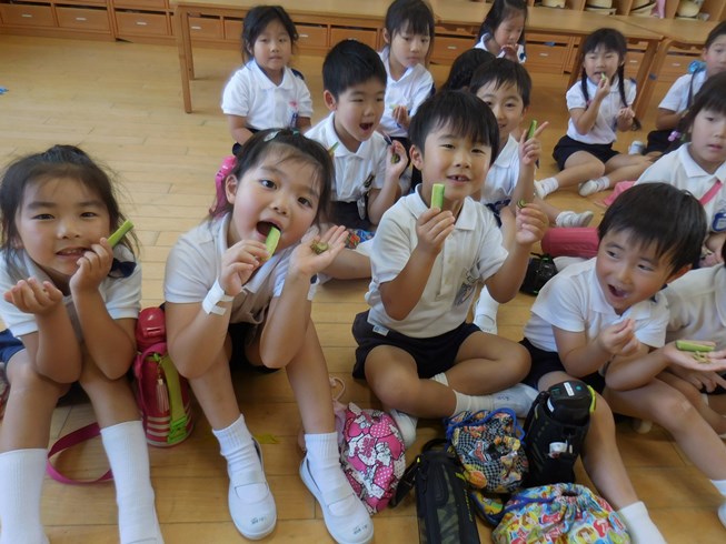 初野菜収穫美味！！！