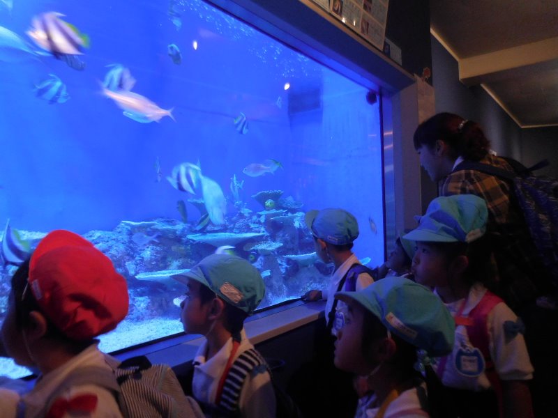 年中（遠足）竹島水族館へ:画像４