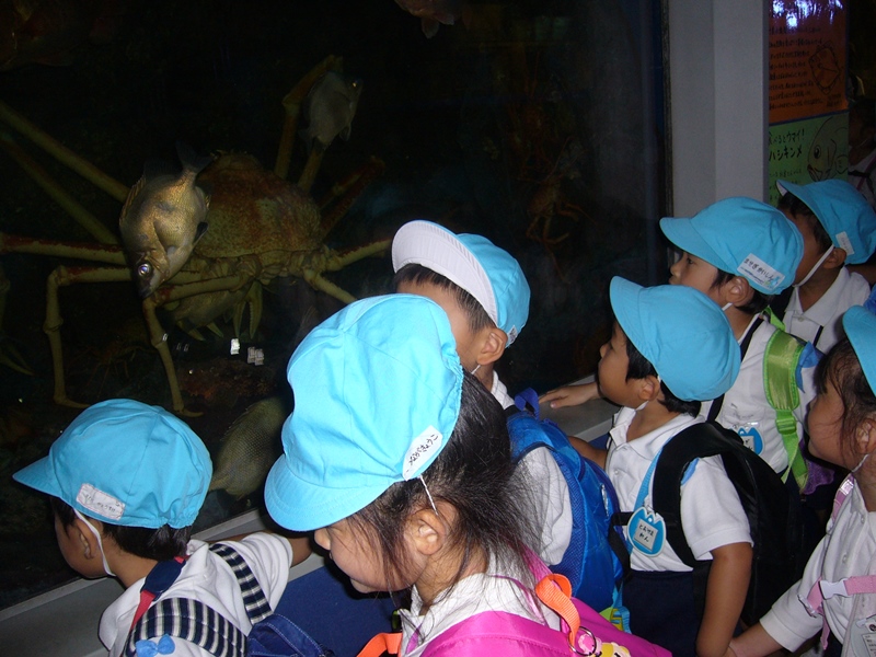 年中（遠足）竹島水族館へ:画像５
