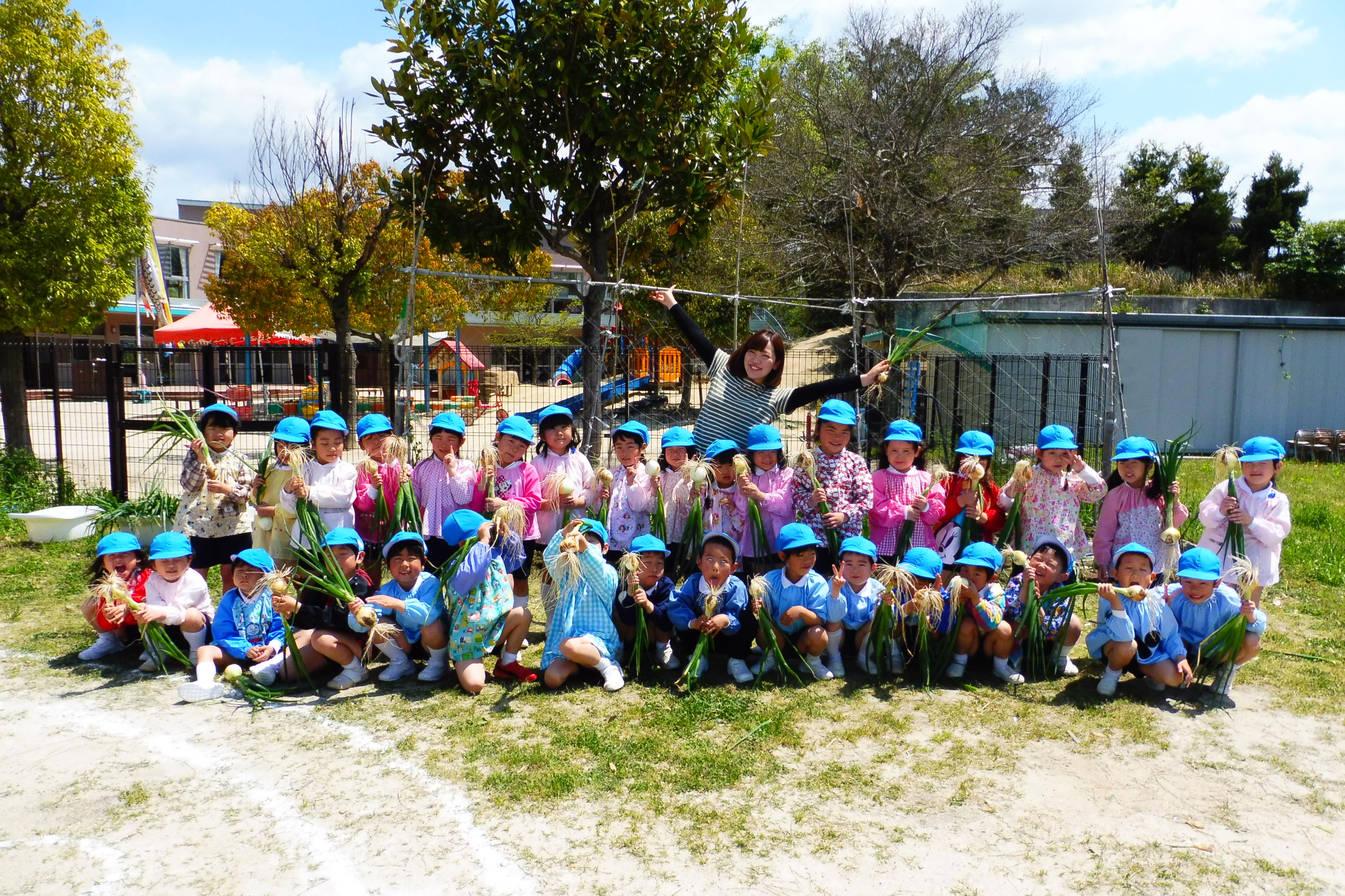 玉ねぎたくさん採れました♡