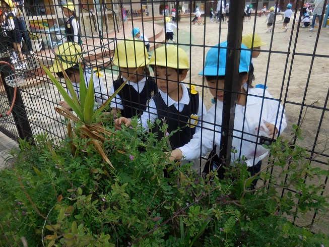 いい天気になりました（年中）♪