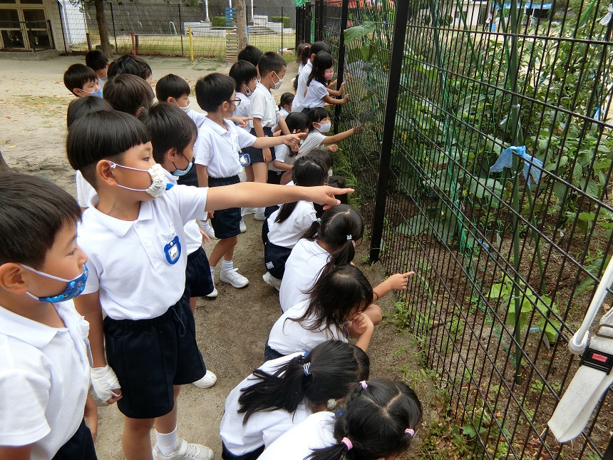 れんげ組の運動遊びがありました☆