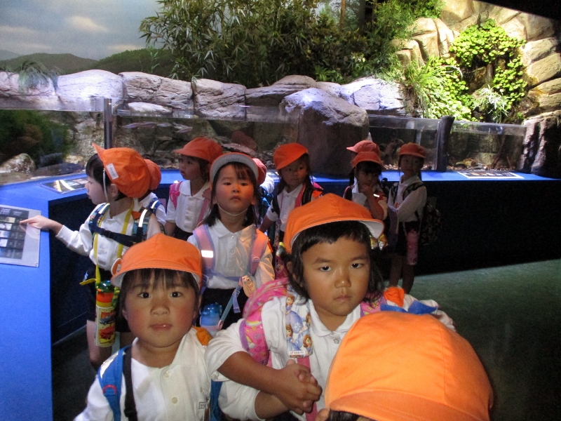 年少さんの遠足①