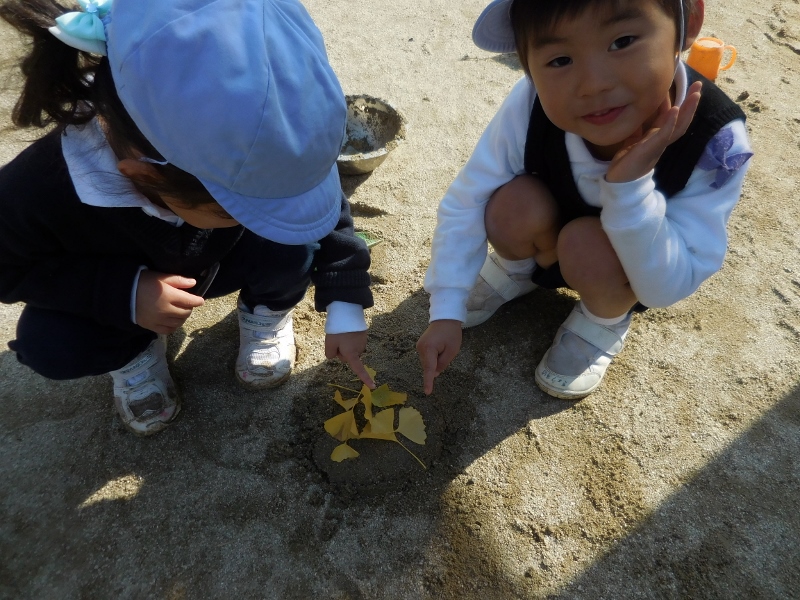 いちょうの葉がきれいです♪