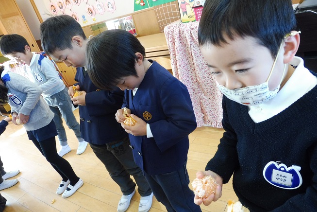幼稚園のみかんを収穫して食べたよ☆:画像2