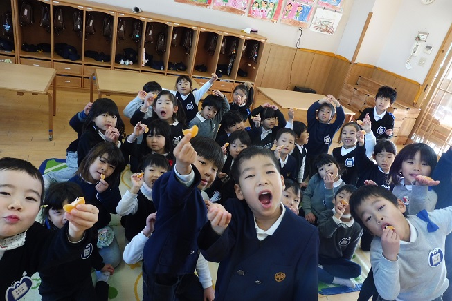 幼稚園のみかんを収穫して食べたよ☆:画像4