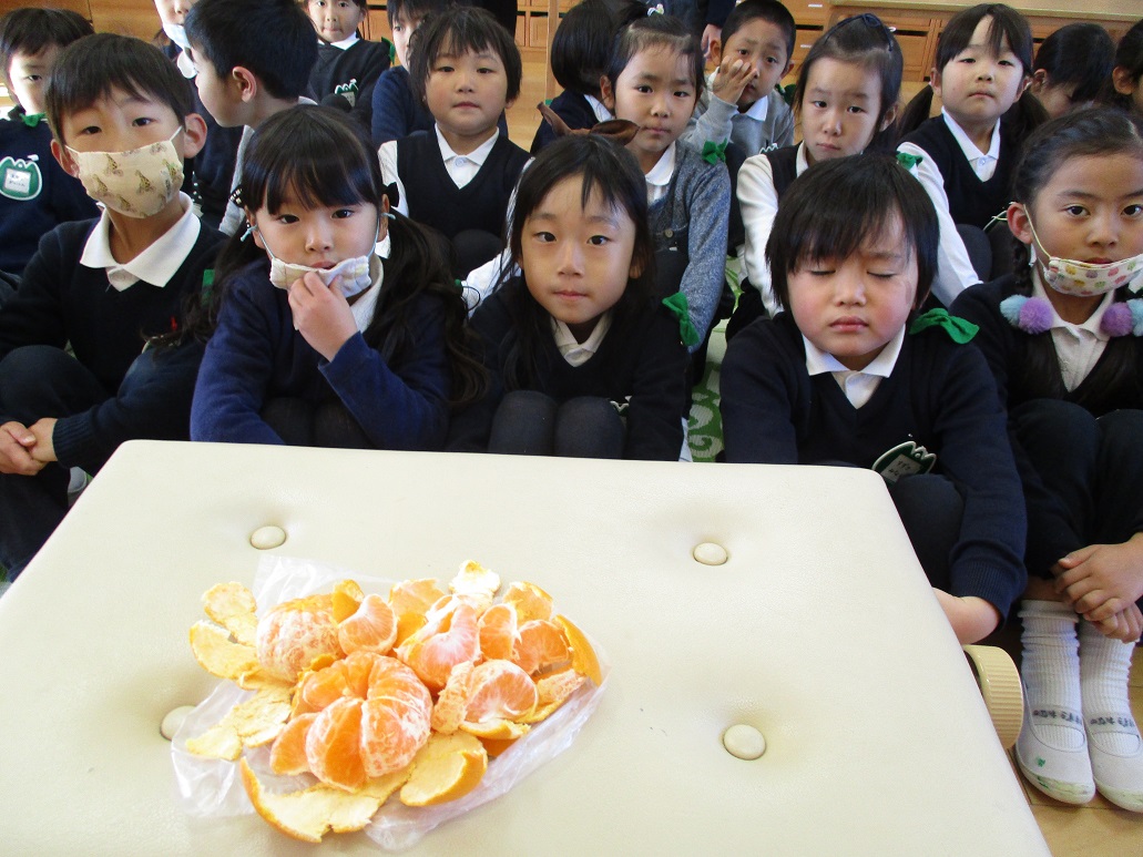 幼稚園のみかんを収穫して食べたよ☆:画像3