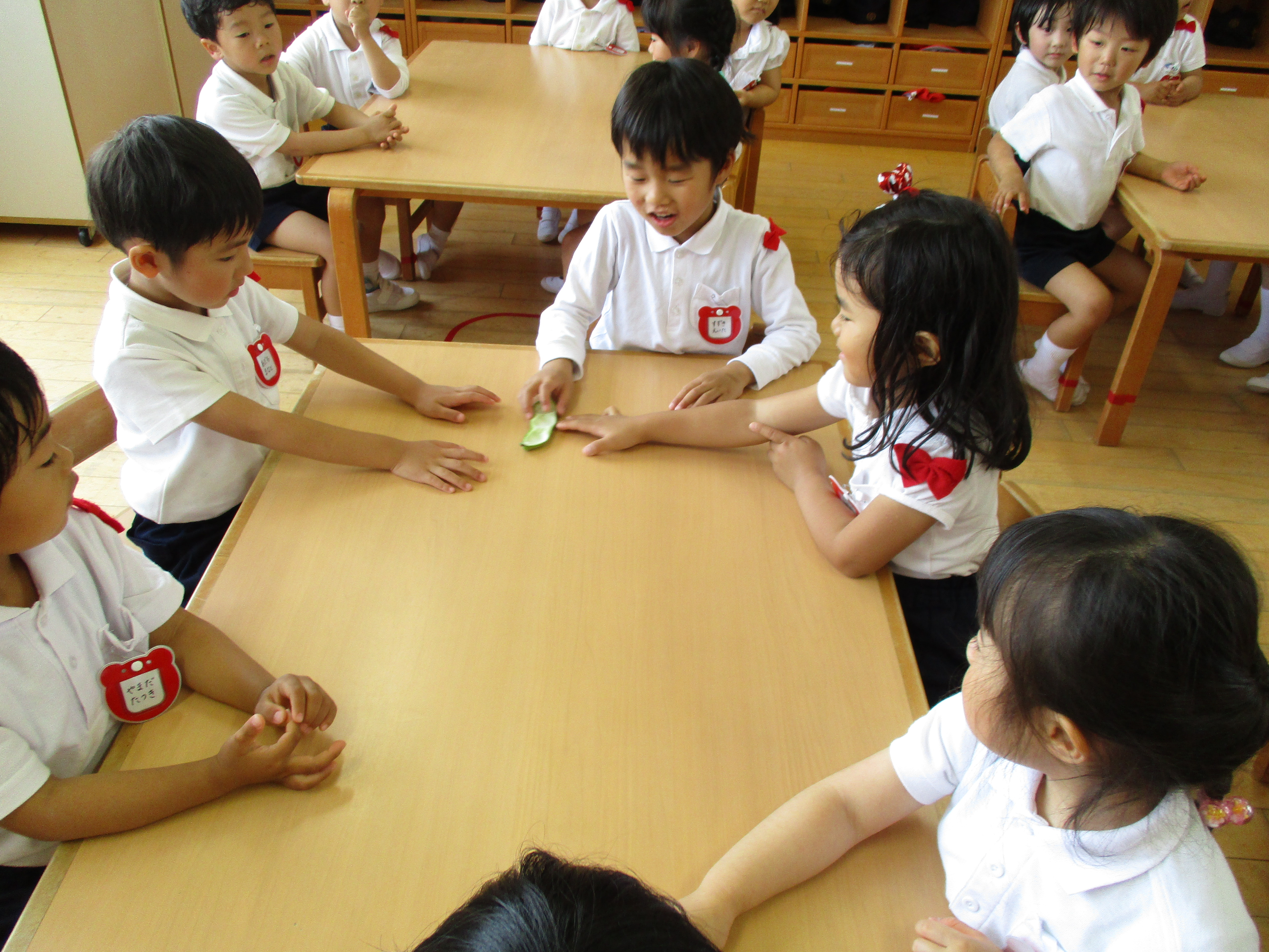 そら豆を食べたよ！