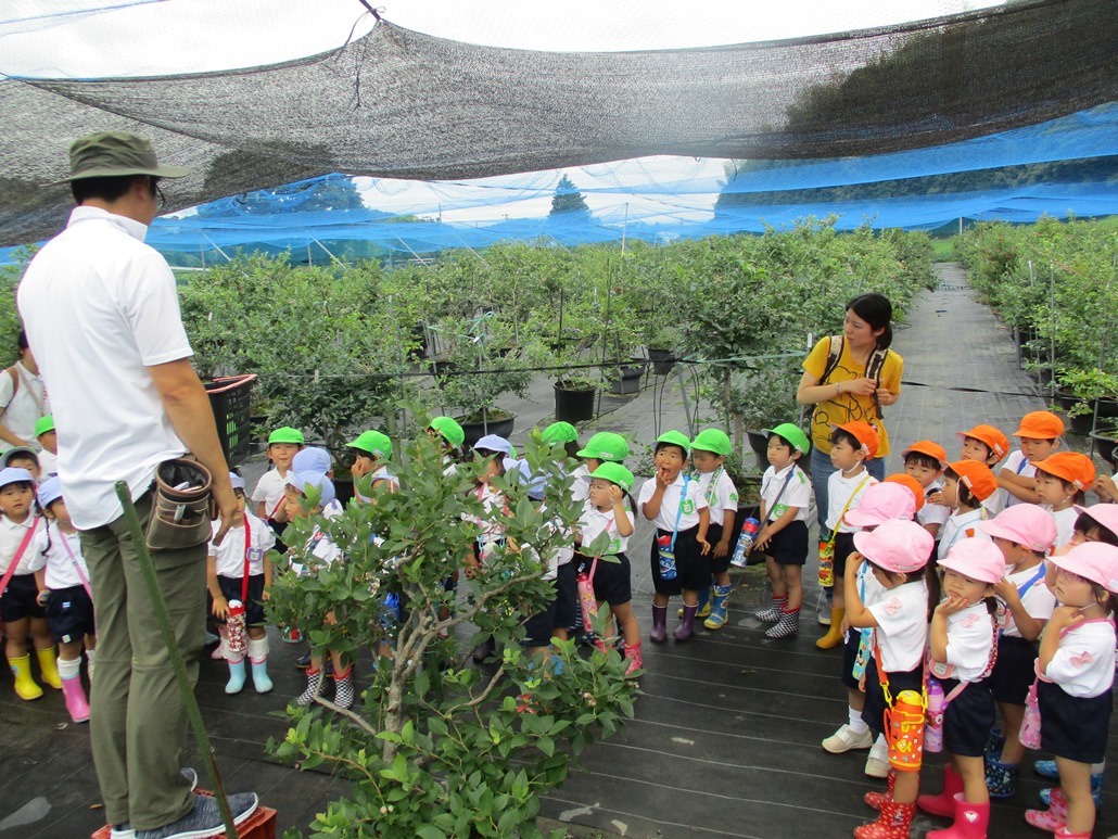 ブルーベリー食べちゃった♡