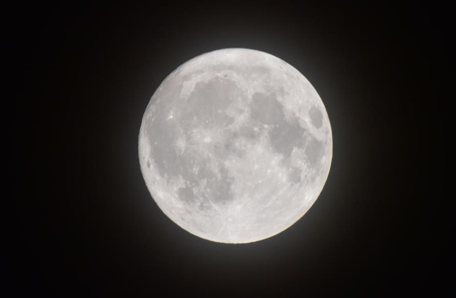 見えたね中秋の名月