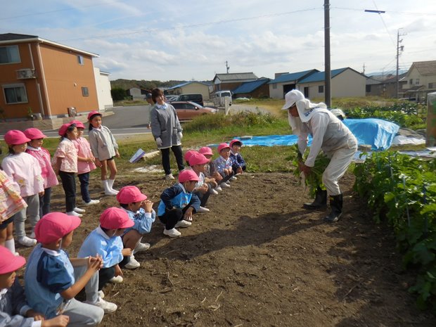 大根掘りに行ってきました☆（さくら組）