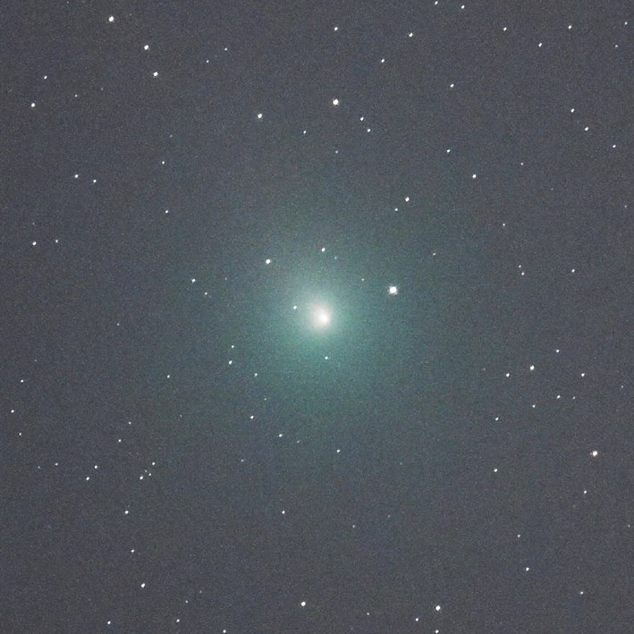 「ウィルタネン彗星とらえた」と、中日新聞で紹介。