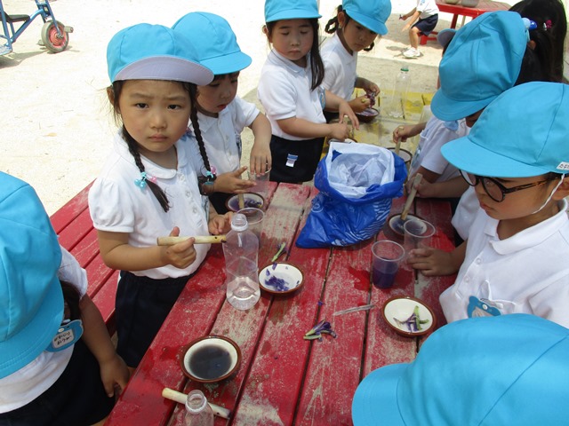 菖蒲きれいだね！―色水も作って遊びました―:画像４