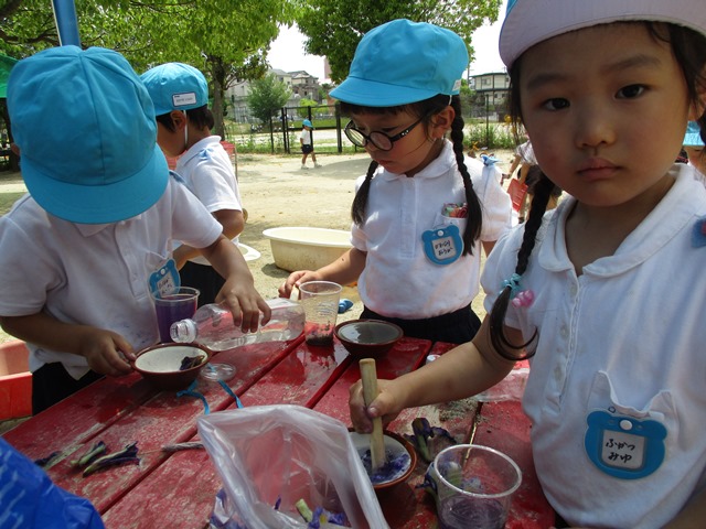 菖蒲きれいだね！―色水も作って遊びました―:画像２