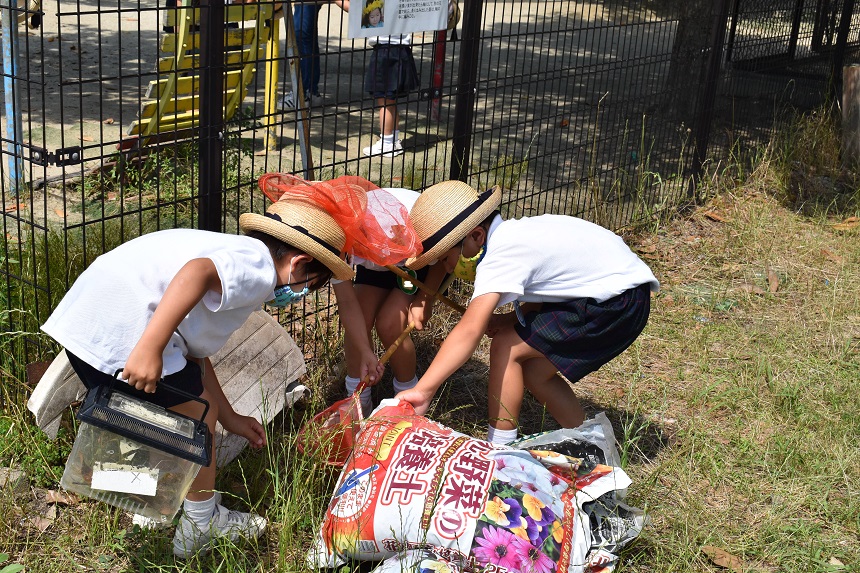 お話ポケットミニ劇場がありました♪:画像３