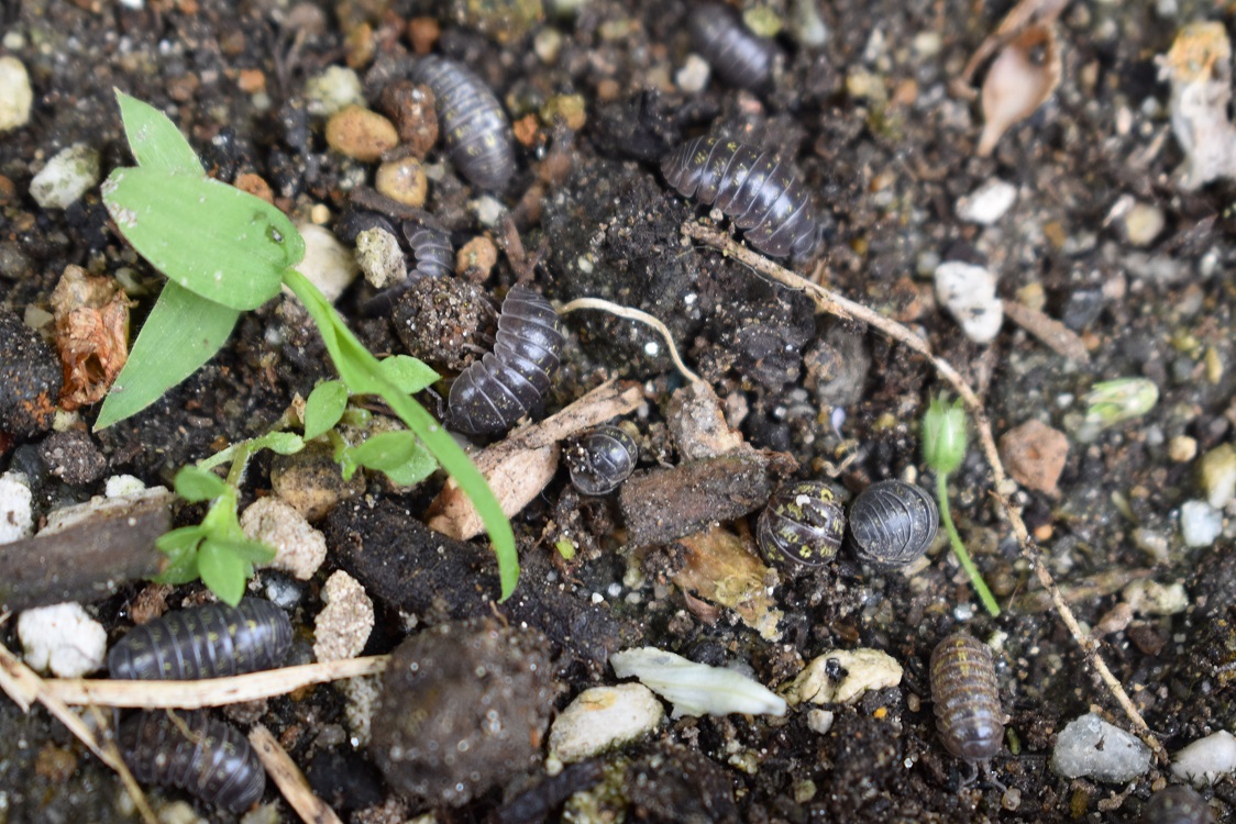 みんなを待っています♪