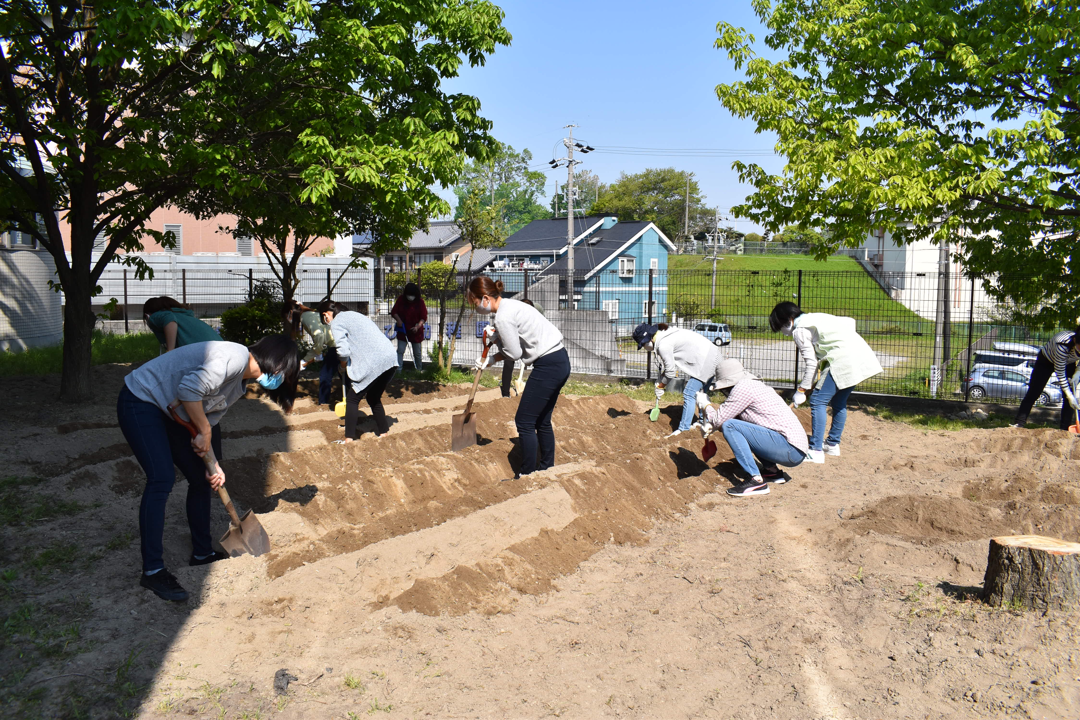 畑の畝作りをしました！