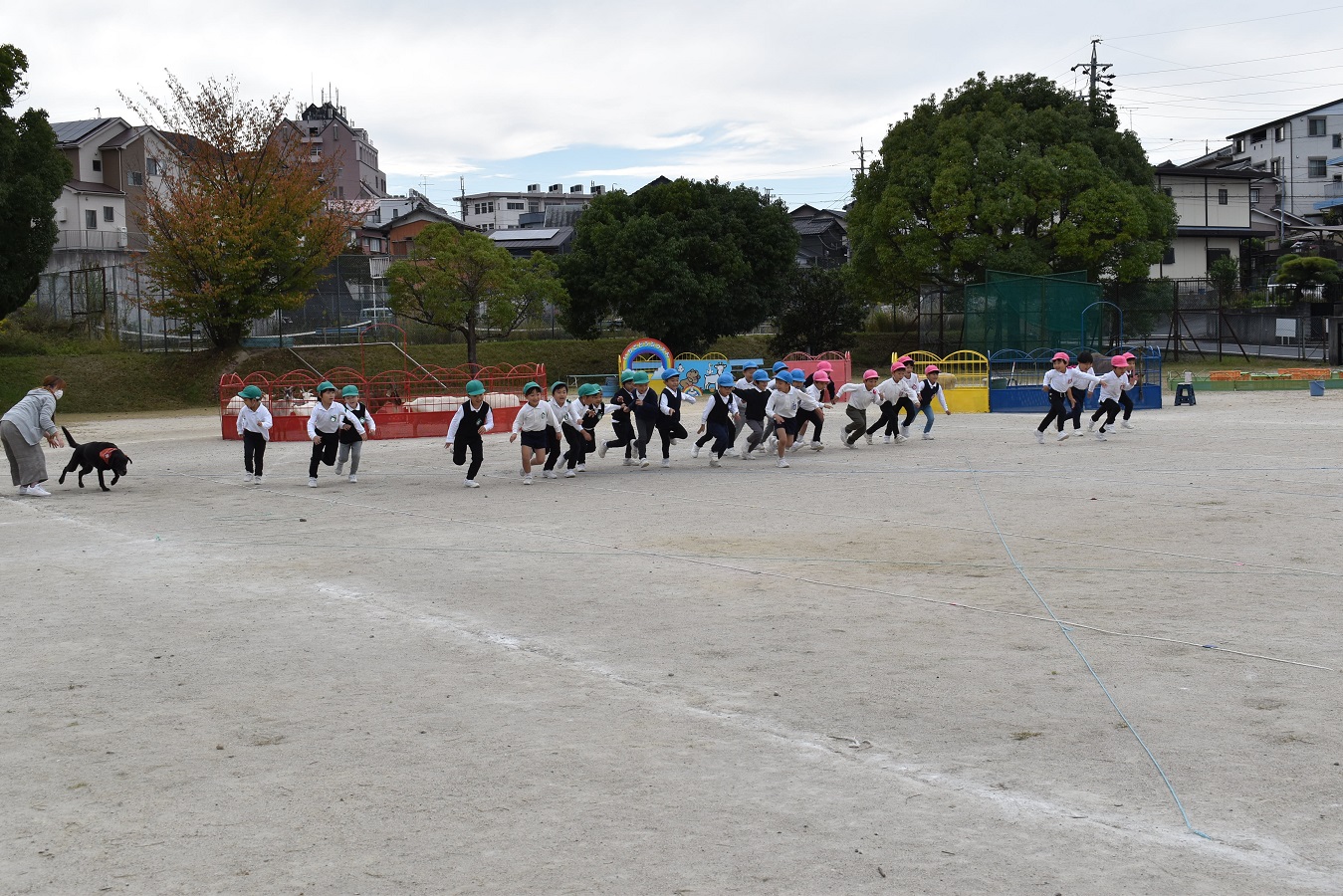 いちご動物園がやってきた！③:画像５