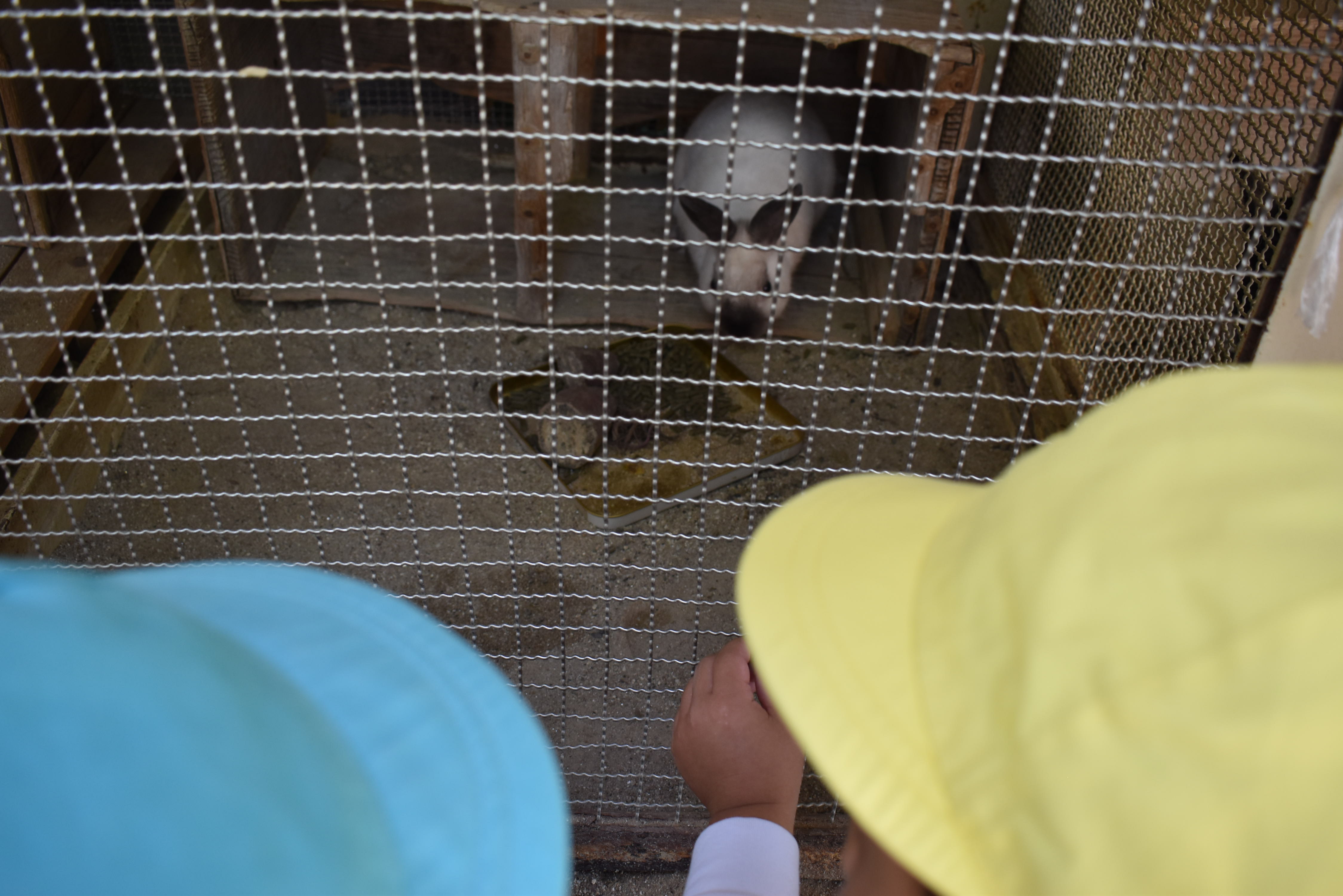 ミルくんがきたよ★