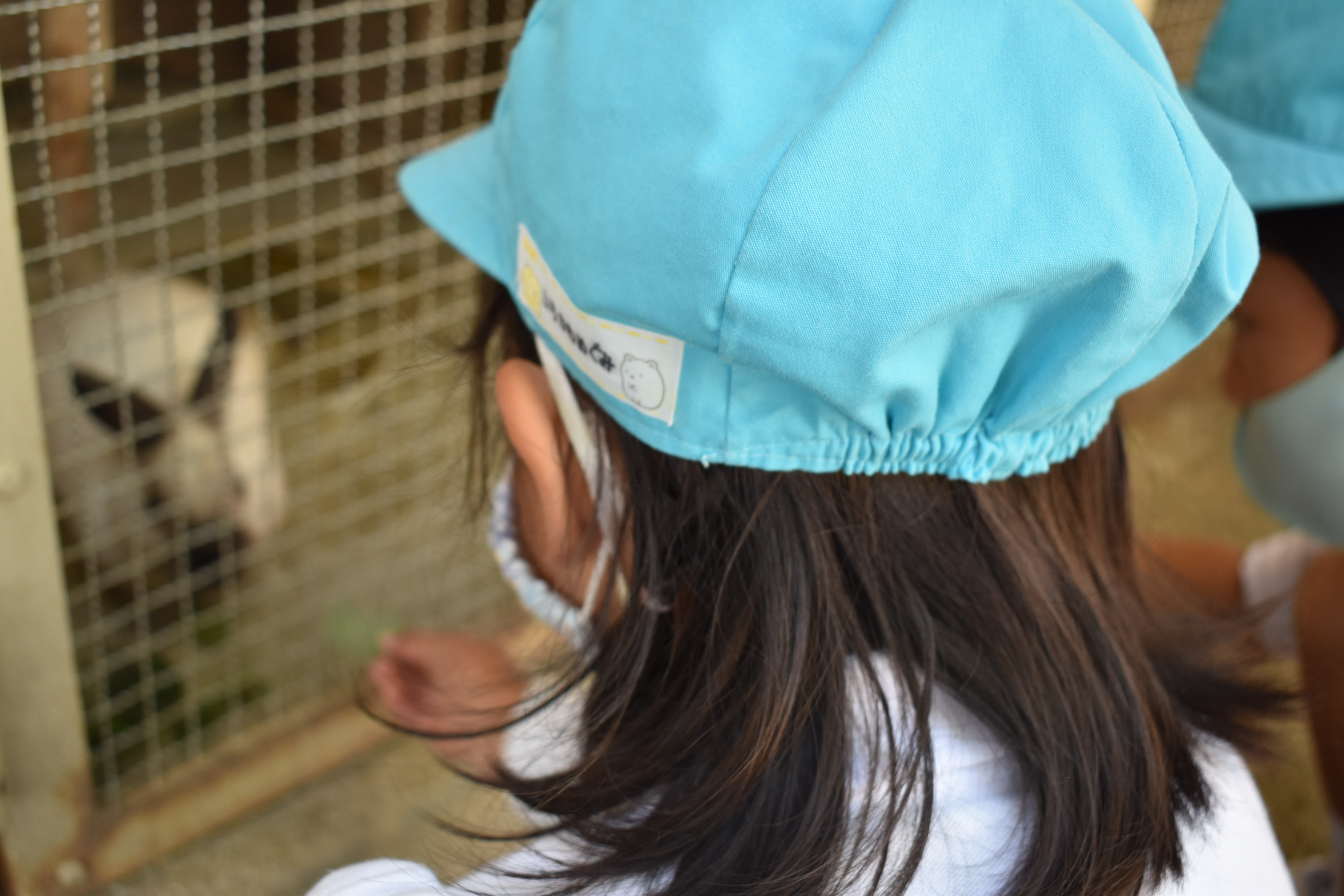 ミルくんがきたよ★:画像２