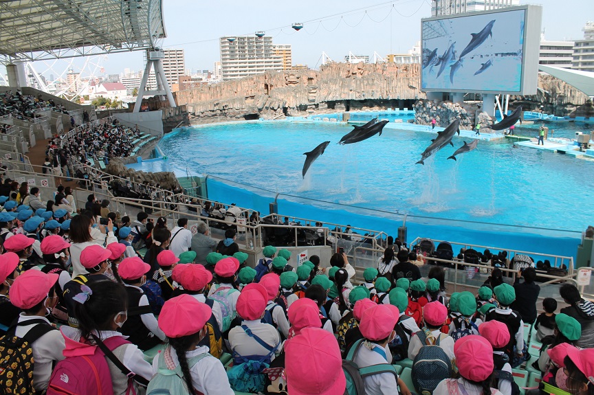 名古屋港水族館に行ってきました！（年長）