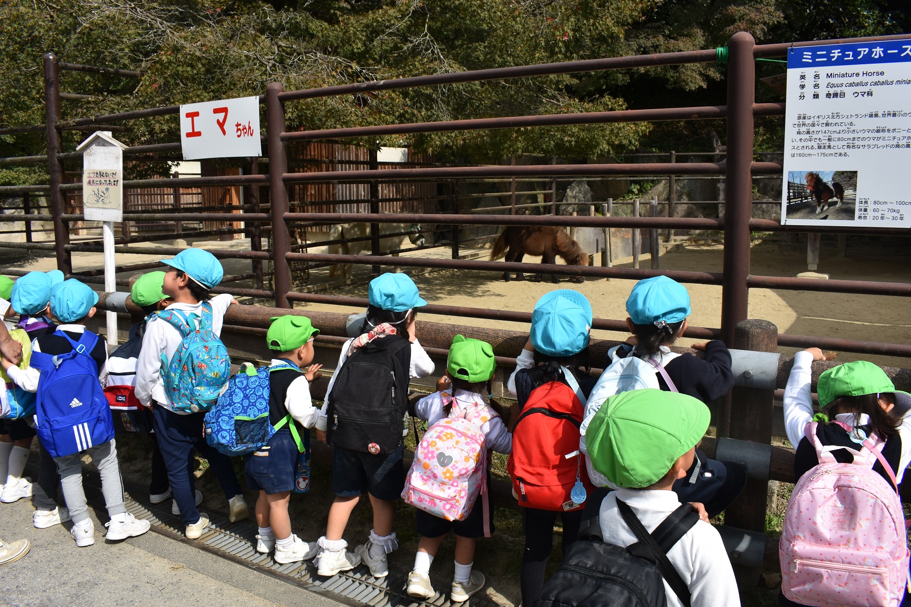 東公園に行ったよ！①（年少、年中）:画像２