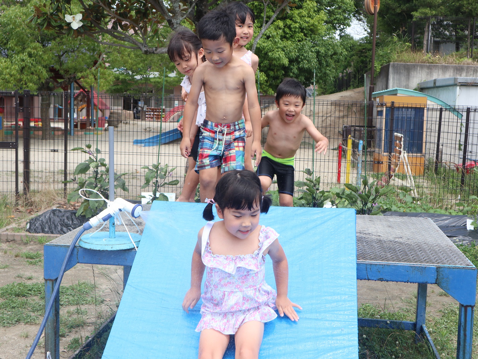 水遊びをしました♪(つばき組):画像1