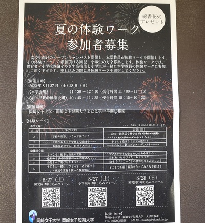 大学の先生、高校生のお姉さんと遊ぼう！:画像１