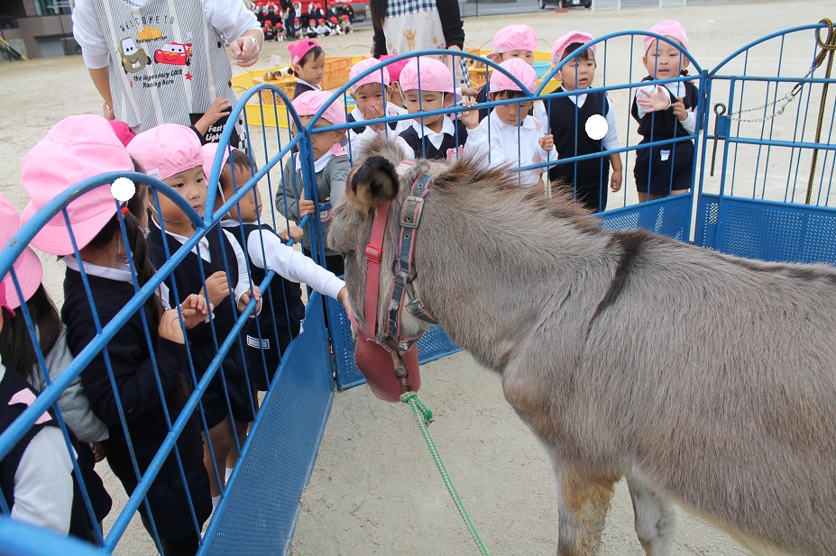 いちご動物園がやってきた！③:画像１
