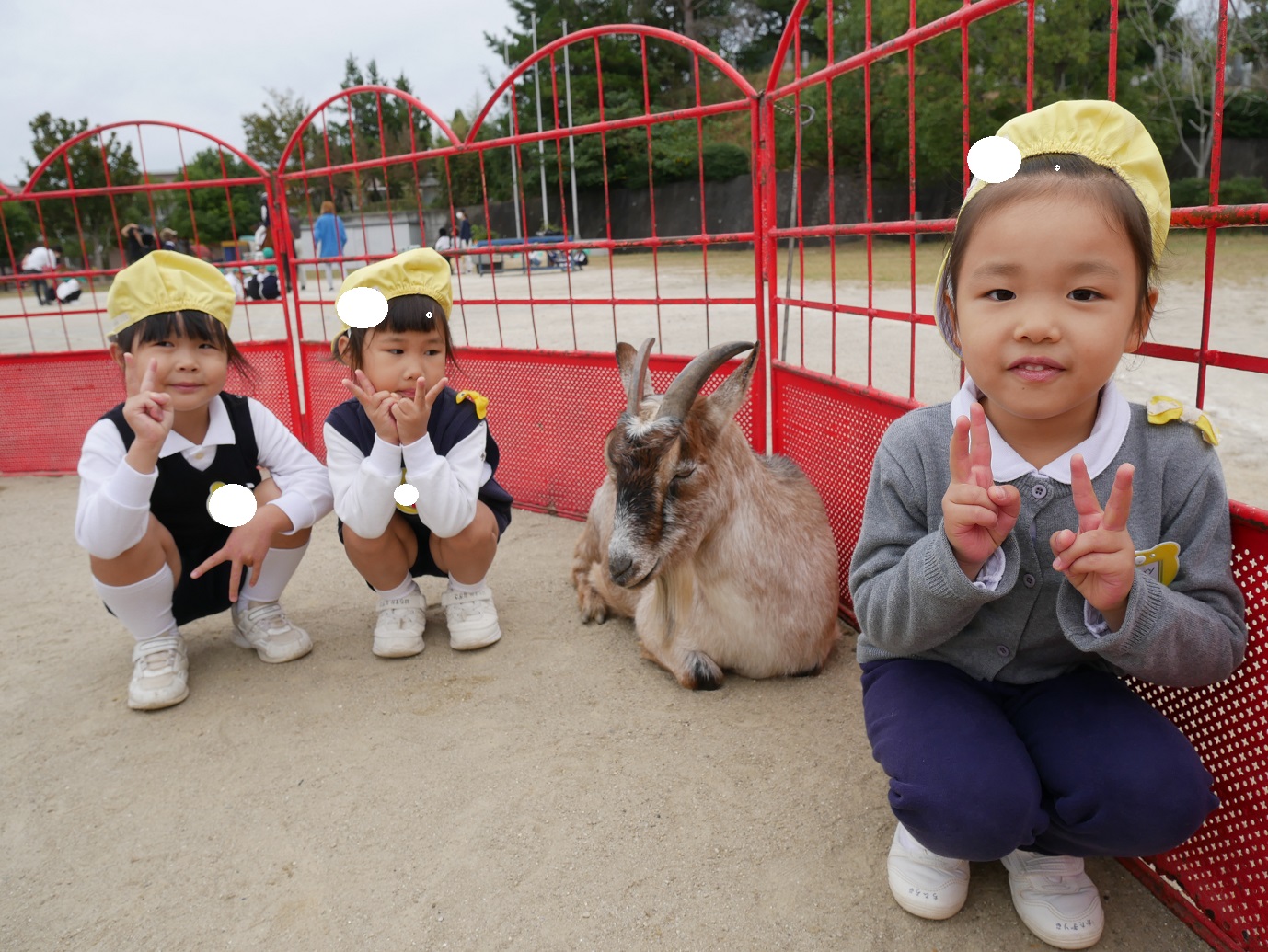 いちご動物園がやってきた！③:画像３