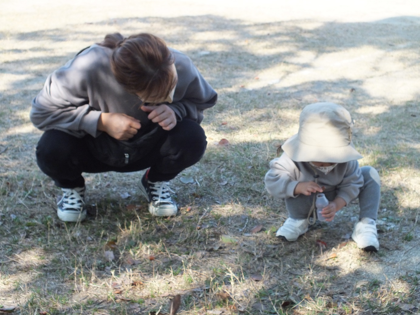 さわらびひろばがありました☆