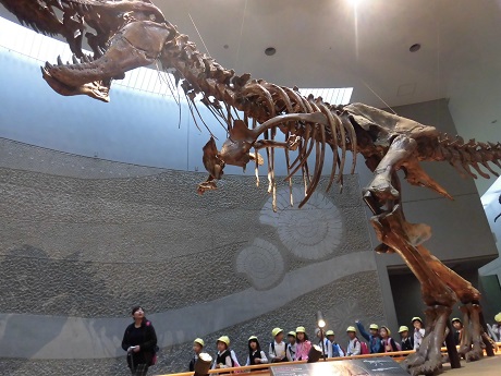 のんほいパークに行ってきました♡(年長):画像２