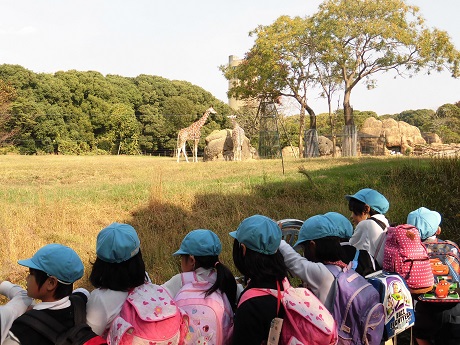 のんほいパークに行ってきました♡(年長):画像３