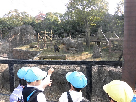 のんほいパークに行ってきました♡(年長):画像５