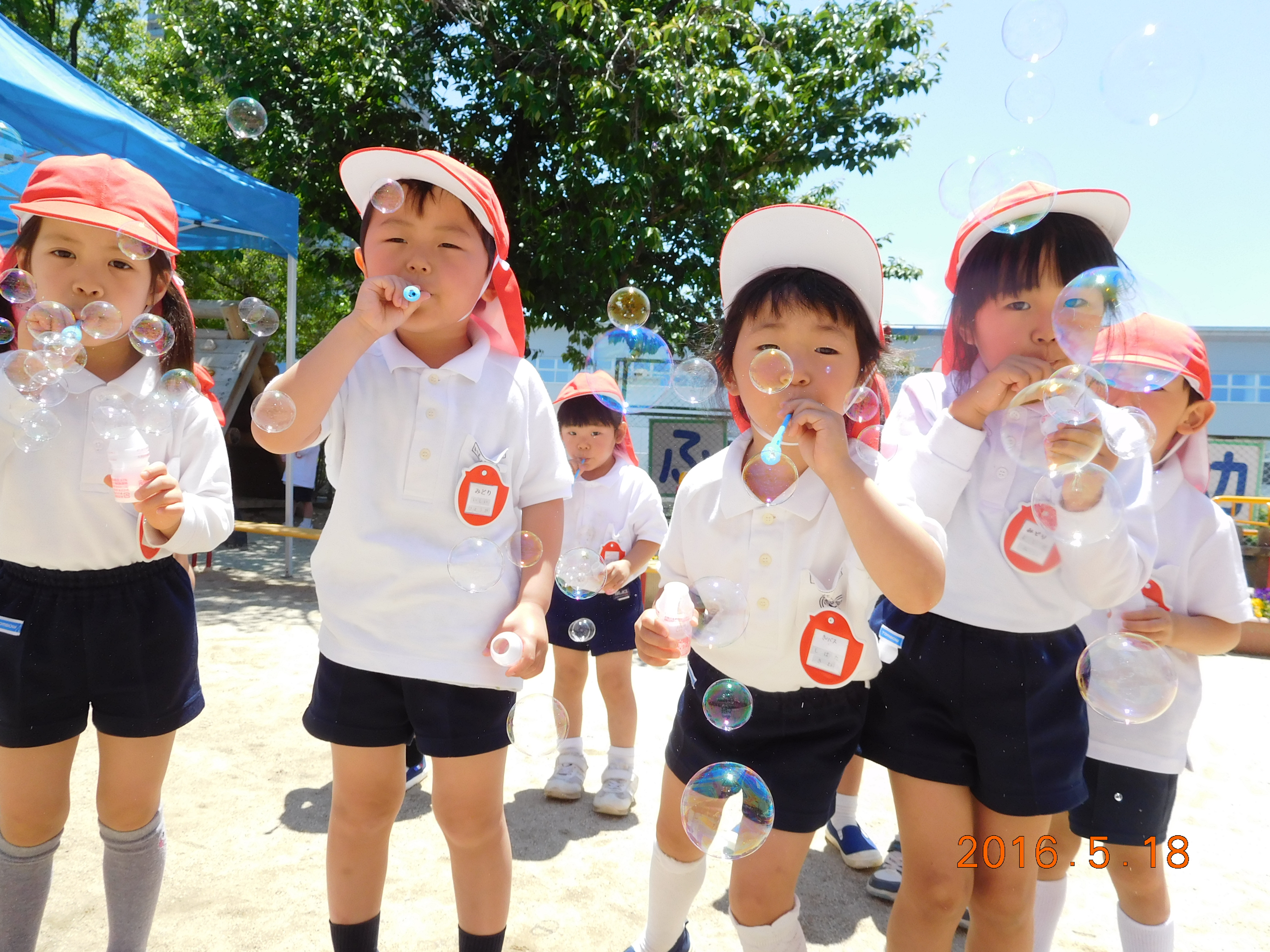 ✿29年度入園予定　説明会について