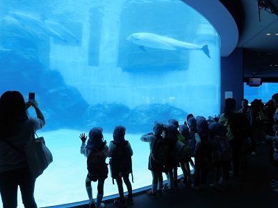 名古屋港水族館に行きました♡（年長）:画像１