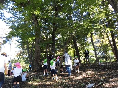 東公園に行ってきました♪（年少）