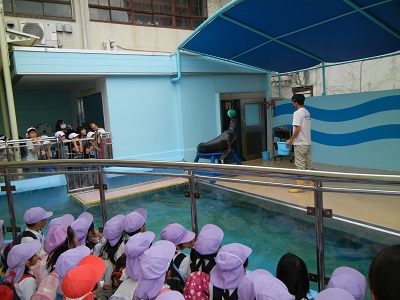 竹島水族館に行ってきました♡（年中）