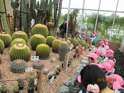 フローラルガーデンよさみに行ったよ♪(年少)