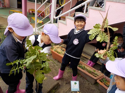 岡崎公園にお散歩に行ったよ♪(年長):画像2